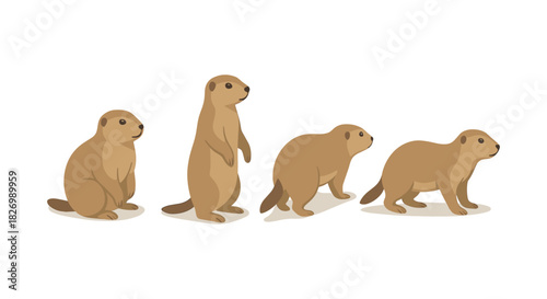 Prairie dog cartoon side view sequence in flat style