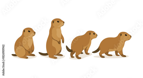 Cartoon prairie dogs in various poses on white background