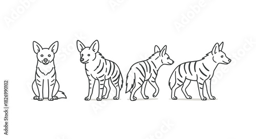 Thylacine sketches: detailed outlines of extinct species in various poses