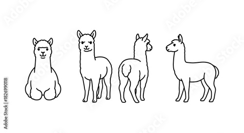 Alpaca line art set: various poses of cute llamas in minimalist style