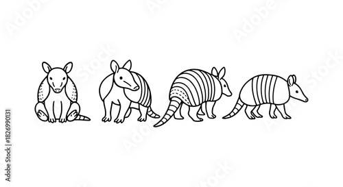 Cute armadillo set: hand-drawn cartoon animals in black and white