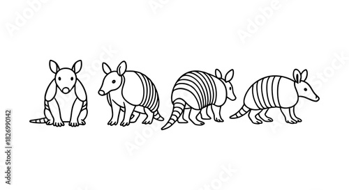 Minimalist armadillo line art set: adorable variations in black and white