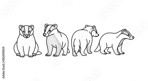 Linear badger illustrations showcasing various poses and perspectives