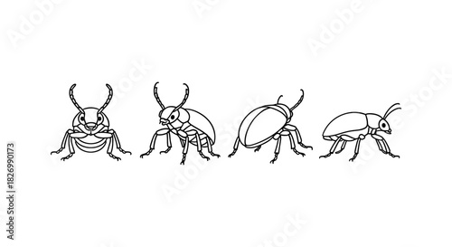 Minimalist beetle silhouette collection in linear style for natural design projects