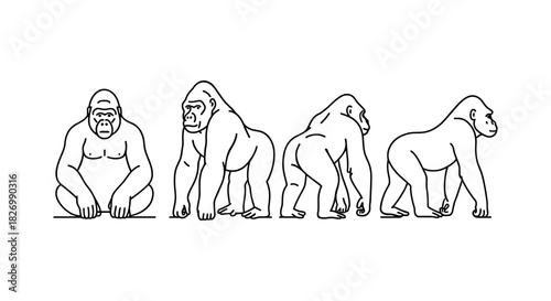 Linear drawings of gorillas in various poses on white background