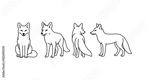 Minimalist fox outline collection in various poses