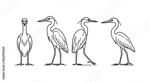 Elegant line art of herons in various poses