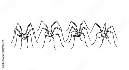 Minimalist linear spider illustration featuring multiple detailed insects in monochrome style