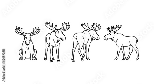 Moose silhouette set in black and white line art