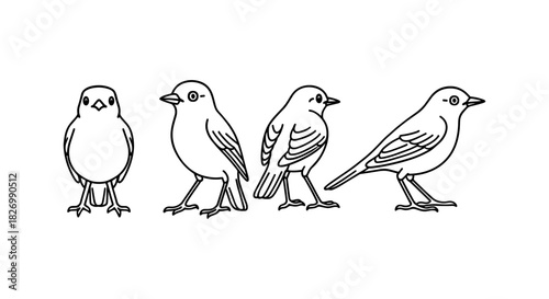 Linear bird evolutions: four stages of sparrow growth in minimalist outline art