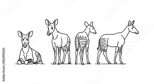 Minimalist line art of okapi in various poses with subtle stripes
