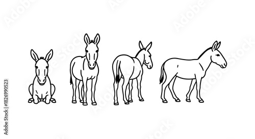 Linear donkey illustration: sitting and standing poses in black outline