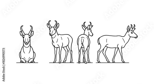 Deer outline in multiple views: front, side, and back perspectives