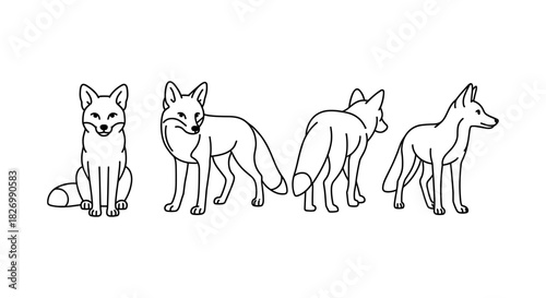 Black and white line art of fox in four different poses