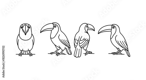 Toucan line art: minimalist bird line drawing set in various poses