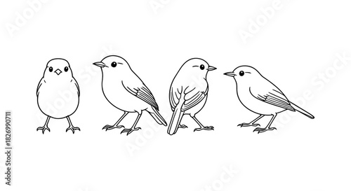 Bird outline artwork featuring various poses of sparrows