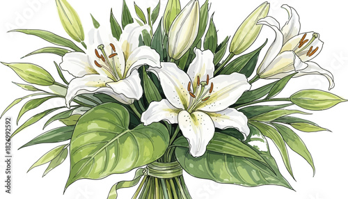 Elegant white lily bouquet vector illustration with green leaves and buds, perfect for floral designs and spring decorations