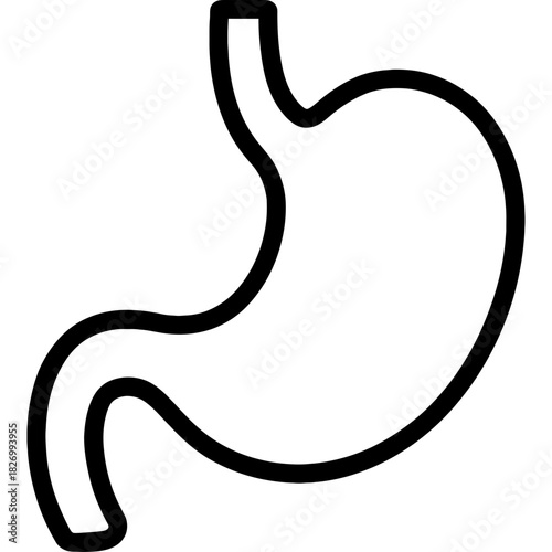 Human stomach outline icon vector