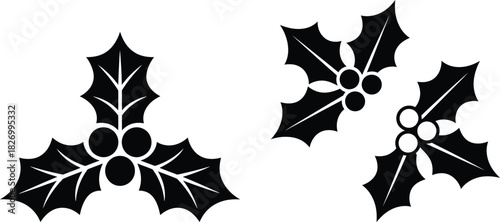 Stylized holly leaves and berries christmas decoration icon set.