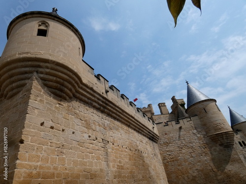 El Palacio Real de Olite, Palacio de los Reyes de Navarra de Olite O Castillo de Olite.