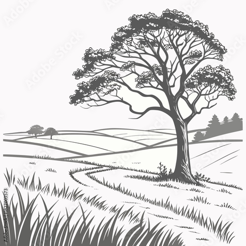 Peaceful rural scene with a majestic tree standing tall in a grassy field, creating a serene and calming landscape, perfect for promoting nature and outdoor living