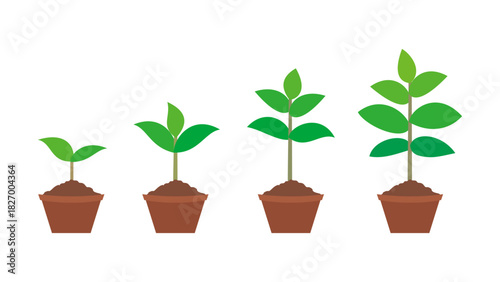 Plant Growth vector design illustration. Plant or Tree Growth icons. Illustration of plant growth process design