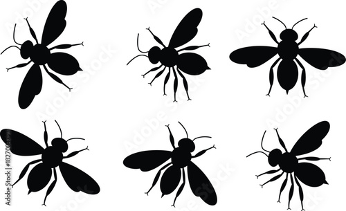 Set of black bee silhouettes, flying insect vector icons, honey bee top view illustration, isolated on white background.