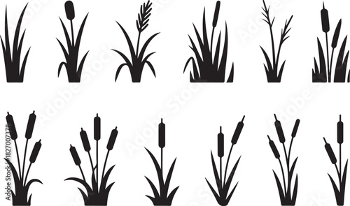 Cattail icon vector set. reeds illustration sign collection. swamp symbol. grass logo
