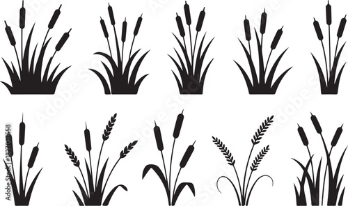 Cattail icon vector set. reeds illustration sign collection. swamp symbol. grass logo