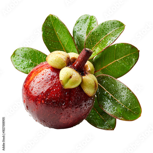 Fresh ripe mangosteen fruit with green leaves isolated on transparent background