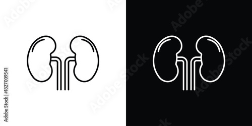 Kidney icons vector. doodle. on a white background.