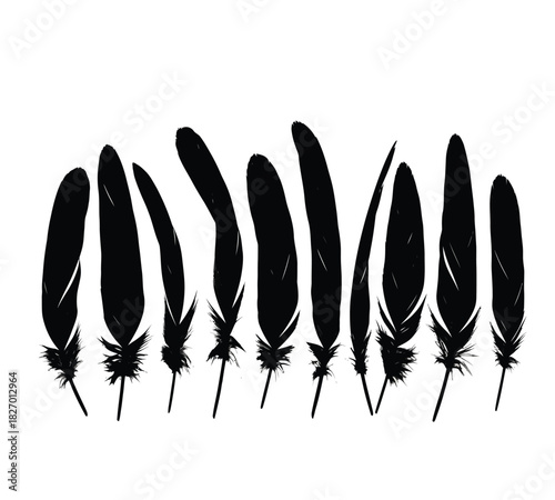 Eight individual black feathers, displaying intricate details and soft textures, neatly aligned in a horizontal row, creating an elegant visual, isolated on white background