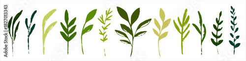 A set of vector green plants in a stamp style. Botanical herbal decorative elements. Основные RGB
