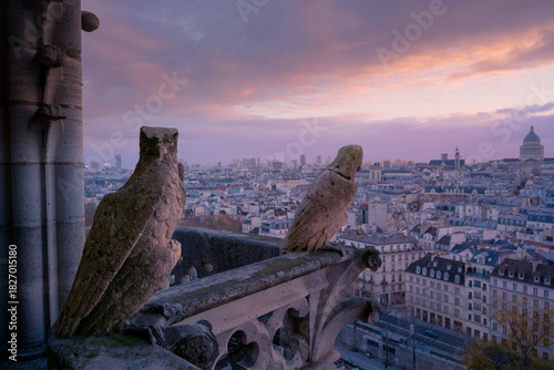 Konstfotografi Notre-dame