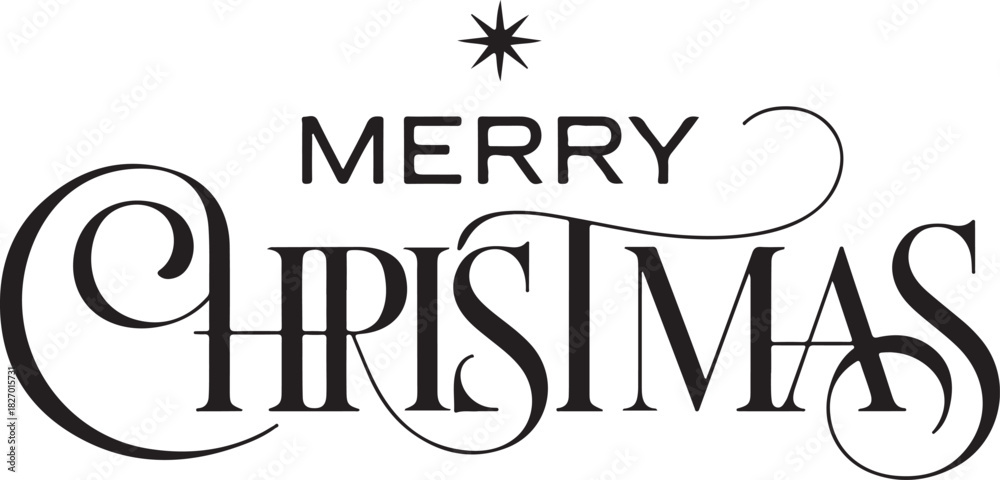 Fototapeta premium Merry Christmas elegant calligraphy and Bethlehem star. Holy night vector handwriting concept for xmas greeting card or church service invitation