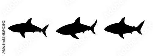 Three shark silhouettes swimming in the ocean great white shark vector illustration wildlife art