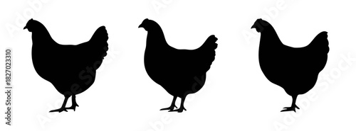 Black chicken silhouette vector art farm animal poultry fowl design graphic illustration hen rooster