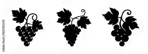 Black silhouette grapes vector illustration bunches of grapes with leaves wine grapes drawing