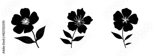 Black flower vector art illustration floral design botanical element nature drawing silhouette art plant 