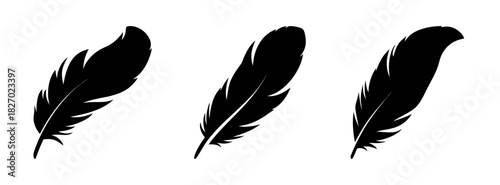 Black feather vector graphic design illustration set of three feathers for arts and crafts projects