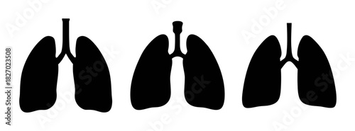 Lung health anatomy respiratory system illustration black and white medical design graphic lungs human body