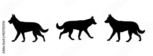 Black silhouette of german shepherd dogs vector illustration pet animal canine breed drawing art design