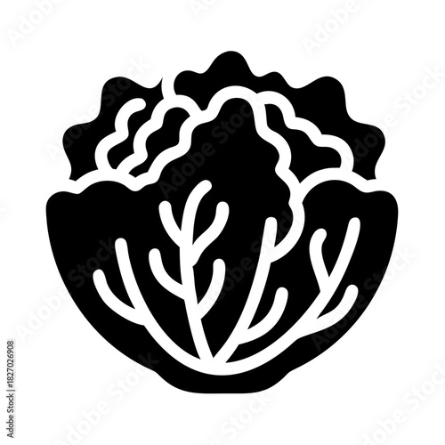 Graphic icon of a healthy green leafy vegetable like lettuce or cabbage icon