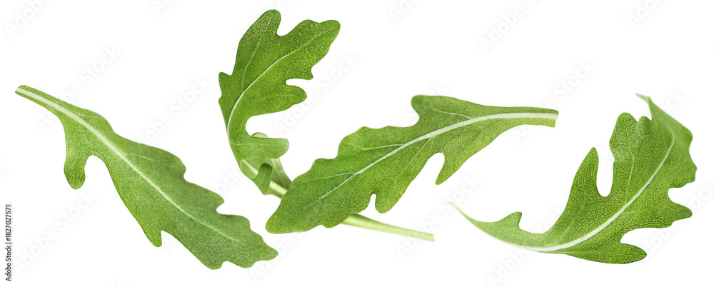 Naklejka premium flying arugula leaves on white isolated background