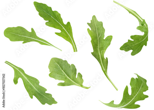 collection of flying arugula leaves on white isolated background