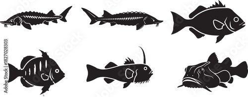 Collection of black silhouette fish vector illustration with various kinds