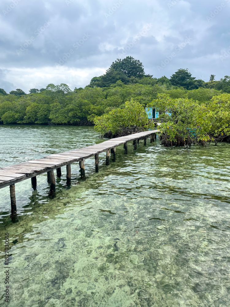 Fototapeta premium Wooden pier stretching over clear Caribbean water toward lush tropical mangroves in Bocas del Toro, Panama. Cloudy sky