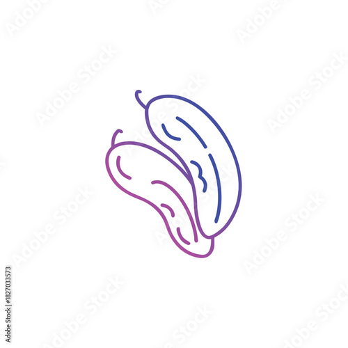 Edamame vegetable icon with gradient outline and artistic flair