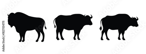 Black silhouette of gaur indian bison wildlife animal vector illustration isolated on white background