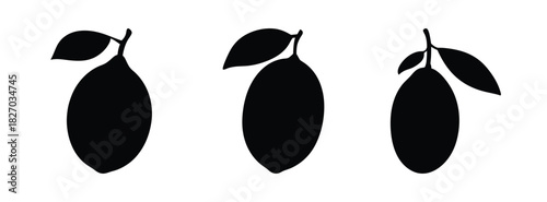 Black and white cocoa beans with leaves vector illustration cocoa pods plant organic food ingredient, 